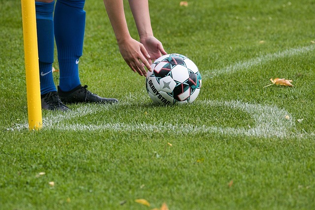 金玟哉和洛卡迪亚携手征战2026年世界杯